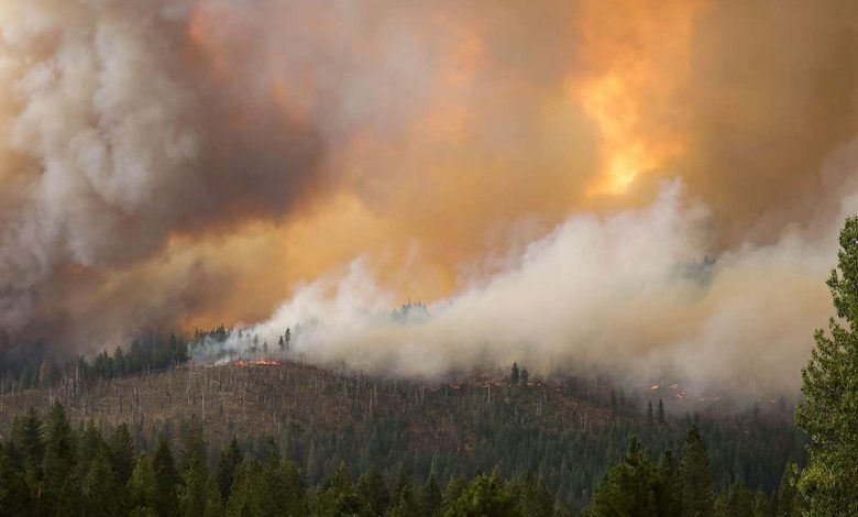 آلودگی آتش سوزی آمریکا با موارد بیشتر و مرگ و میر ناشی از کرونا ارتباط دارد