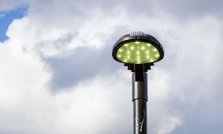 در مناطق دارای نورپردازی خیابانی ، جمعیت کاترپیلار 50 درصد کاهش می یابد