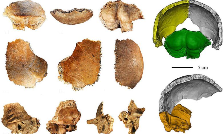 تکامل انسان: یک فسیل 160000 ساله ممکن است اولین جمجمه دنیسووا باشد که ما پیدا کردیم