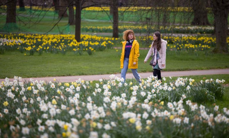 بهار: گل های انگلستان به دلیل تغییرات آب و هوایی یک ماه زودتر شکوفا می شوند