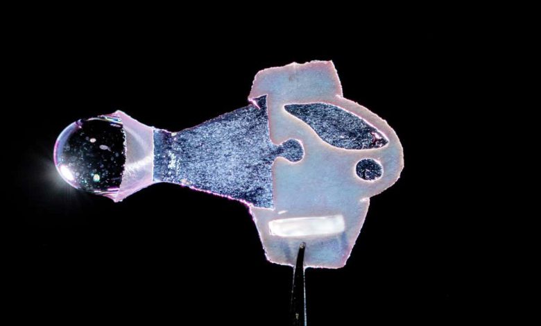 ربات ماهی: ماهی مصنوعی که از سلول های قلب انسان نیرو می گیرد، بینش قلب را می دهد
