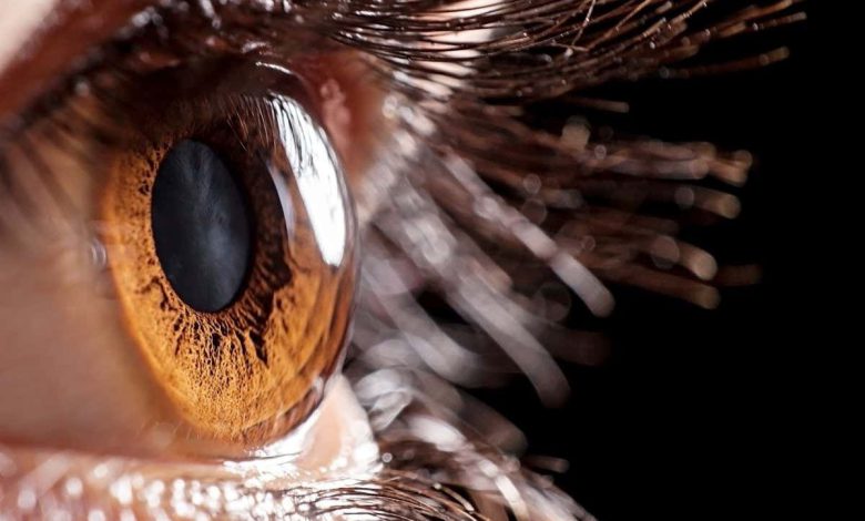یک چشم بیونیک که نحوه واکنش مردمک ها به نور را شبیه سازی می کند ممکن است بینایی را بهبود بخشد