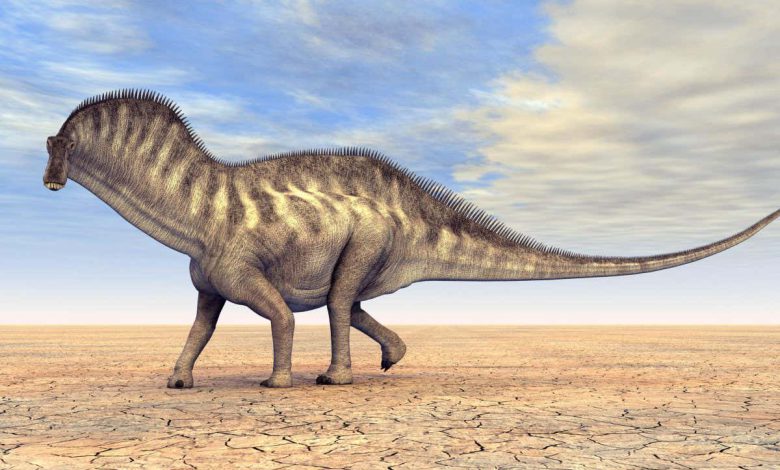 دایناسورها: ساروپودهای عجیب بادبان هایی را روی گردن دراز خود می بستند
