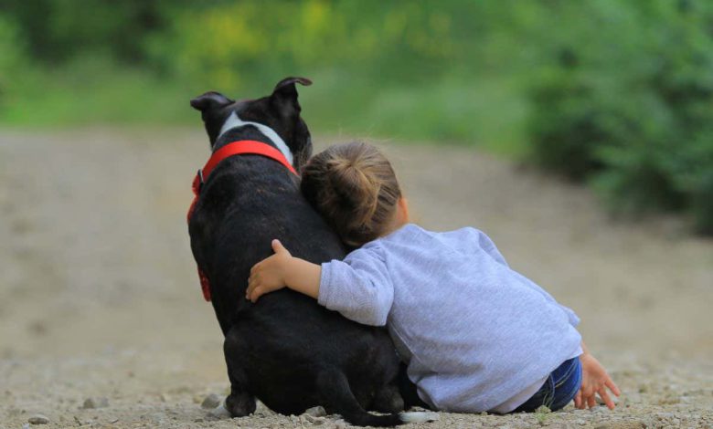 کرون: زندگی با سگ در دوران کودکی ممکن است خطر ابتلا به این بیماری را کاهش دهد