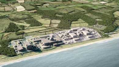 Sizewell C: آیا بریتانیا برای رسیدن به انتشار خالص صفر به نیروگاه های هسته ای جدید نیاز دارد؟