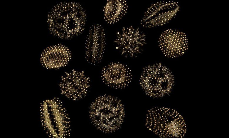 انتقال میکرو: مخلوط آب نبات مانند می تواند الگوهای روی اجسام میکروسکوپی را چاپ کند