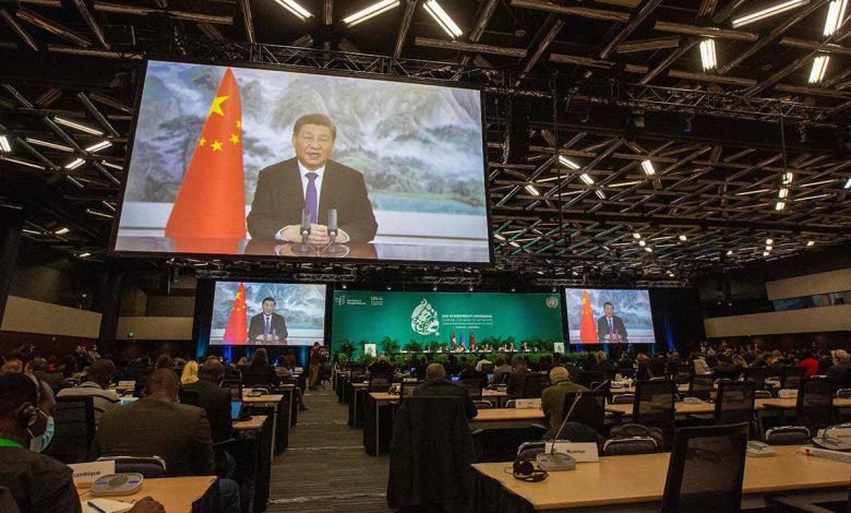 COP15: چین خواهان اقدامی است زیرا مذاکرات تنوع زیستی به هم می‌خورد