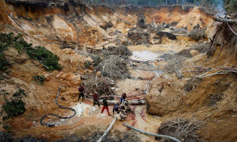 جنگل زدایی در ونزوئلا با غارت آمازون توسط معدنچیان طلا تشدید می شود