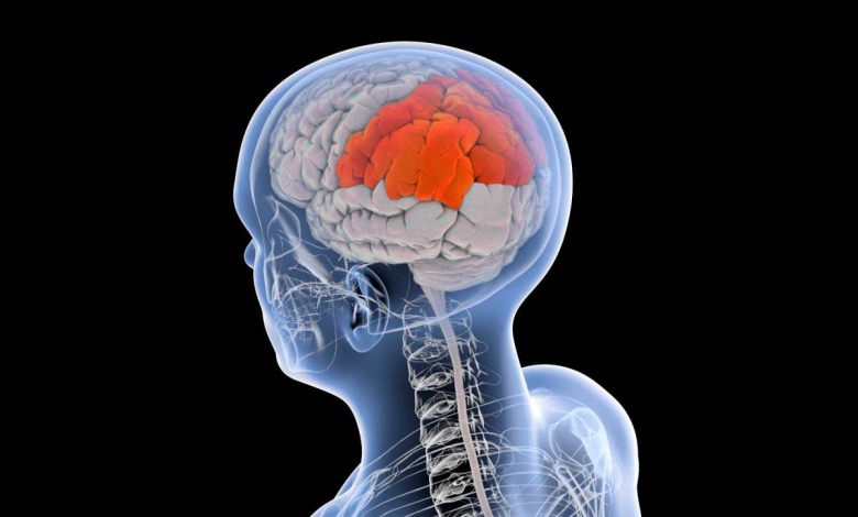 یک شبکه مغزی ممکن است در شش وضعیت سلامت روان از جمله افسردگی، اضطراب و اختلال وسواس فکری-اجباری درگیر باشد.