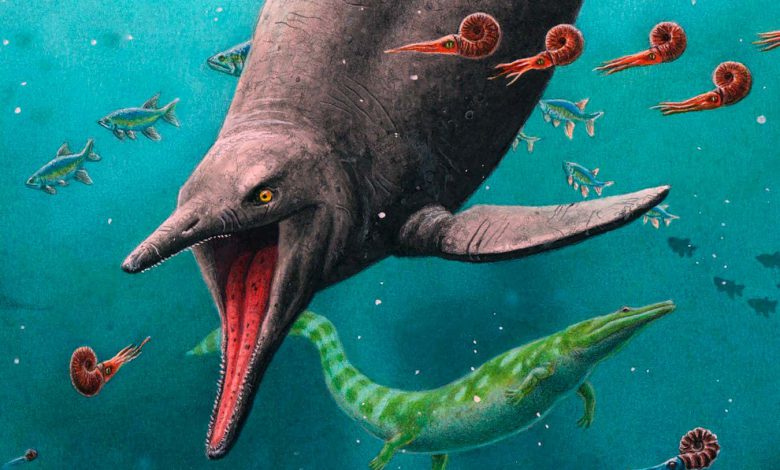 قدیمی ترین فسیل های ایکتیوسور نشان می دهد که آنها قبل از انقراض دسته جمعی تکامل یافته اند