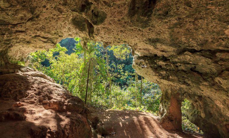 40000 سال پیش از ابزارهای سنگی در غار فیلیپین برای ساختن طناب استفاده می شد.