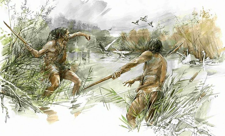 انسان های باستان با پرتاب چوبی مانند بومرنگ حیوانات را تعقیب می کردند